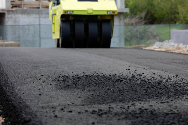 Best Local Driveway Pavers  in Hampton, TN