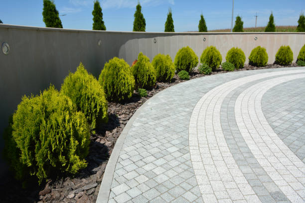 Best Custom Driveway Pavers  in Hampton, TN